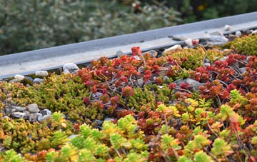 the cost of North Acton green roof installation