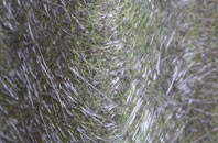 North Acton fibreglass roof work